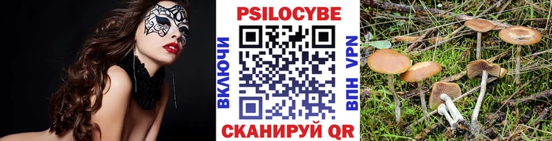 площадка формула  Сыктывкар  Псилоцибиновые грибы мицелий 