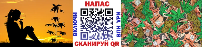 Каннабис семена  блэк спрут зеркало  Сыктывкар  как найти закладки 
